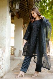 Black-bari Rangeen libas embroidery dress ⚡
